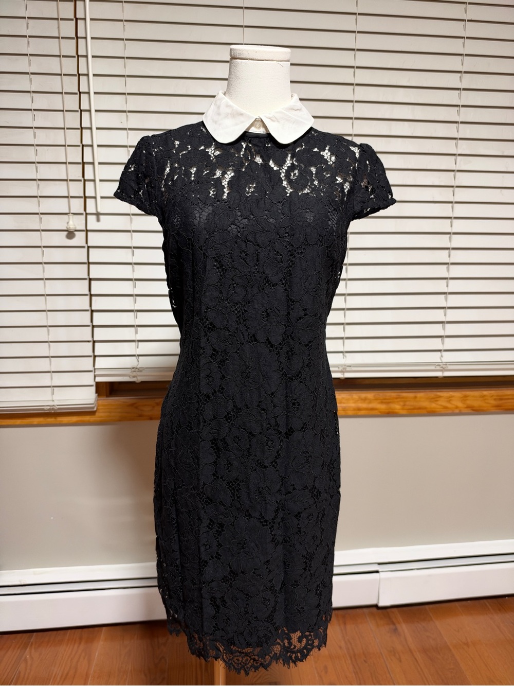 Ralph Lauren Black Lace Dress with White Peter Pan Collar